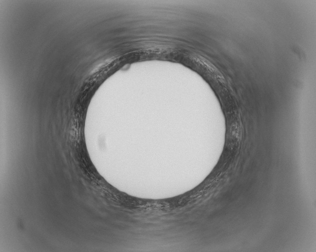 X0000115660869200912101049