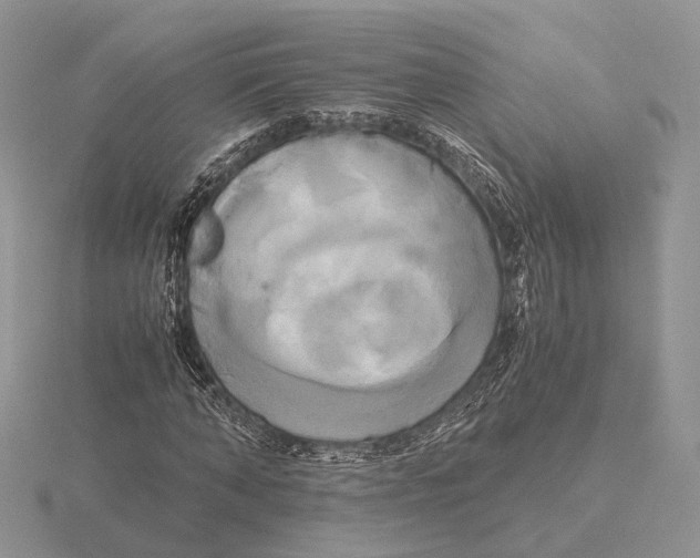 X0000115660870200912101049