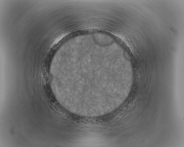 X0000115660871200912101049