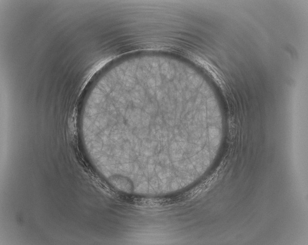 X0000115660875200912101049