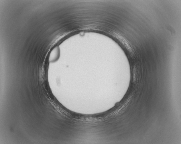 X0000115660876200912101049