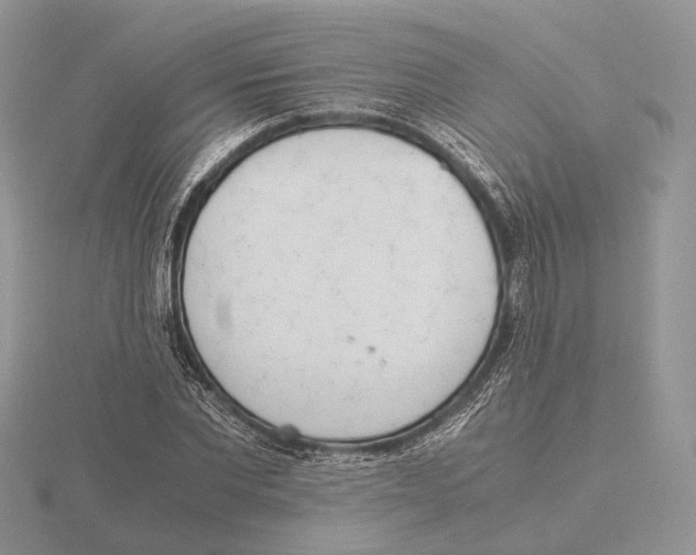 X0000115660877200912101049