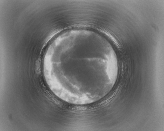 X0000115660878200912101049