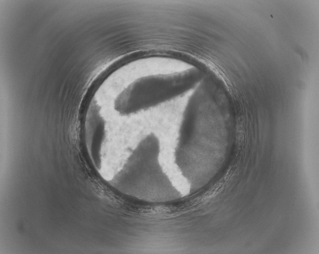 X0000115660879200912101049