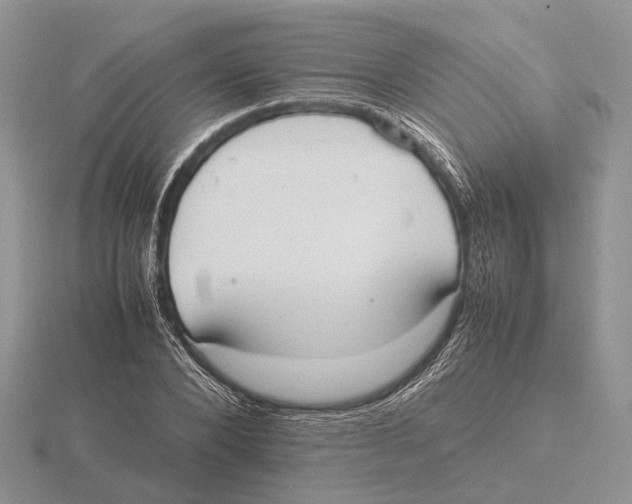 X0000115660880200912101049