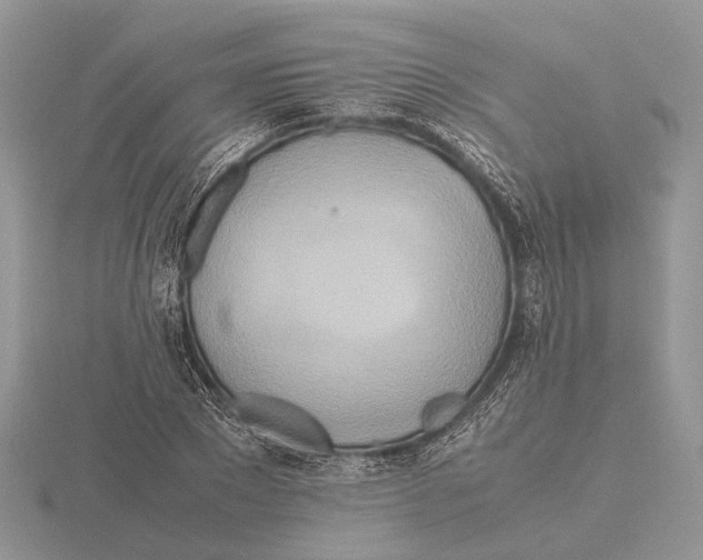 X0000115660881200912101049