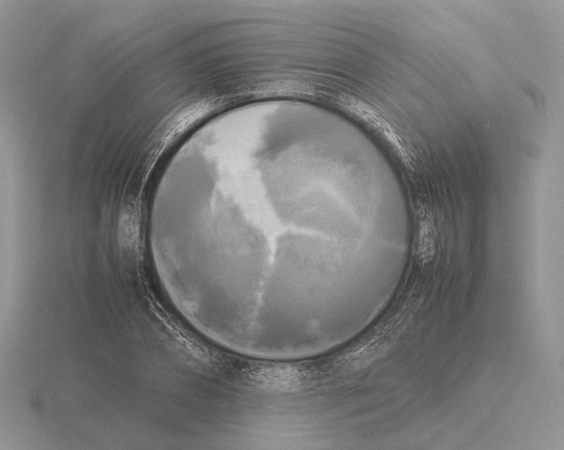 X0000115660882200912101049