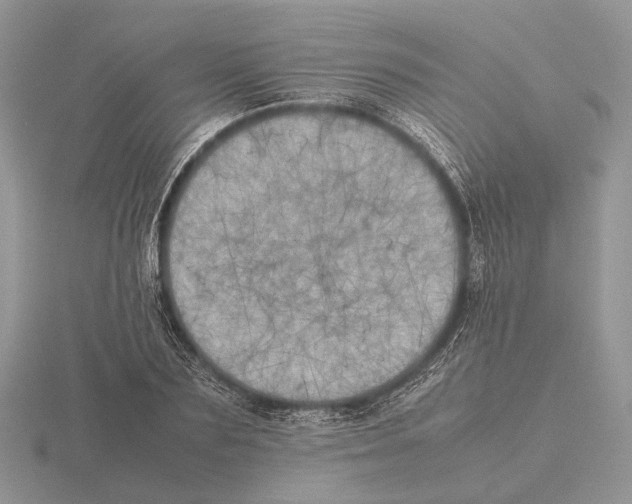 X0000115660883200912101049