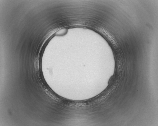 X0000115660884200912101049