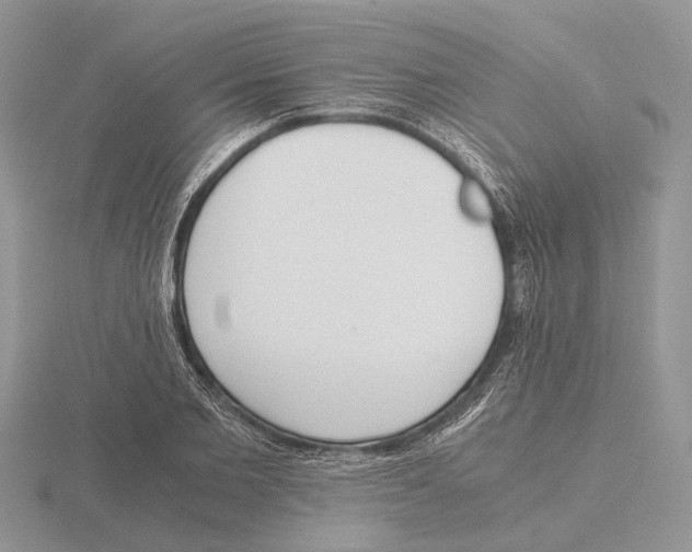 X0000115660885200912101049