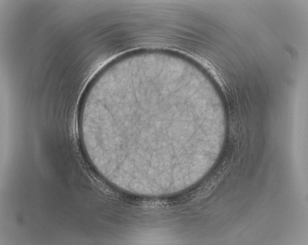 X0000115660887200912101049