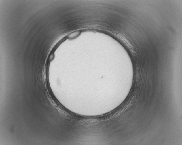 X0000115660888200912101049