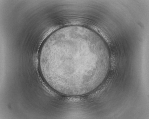 X0000115660890200912101049