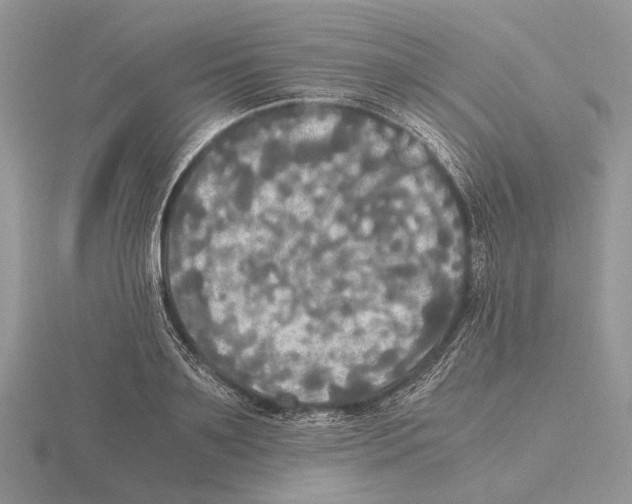 X0000115660891200912101049