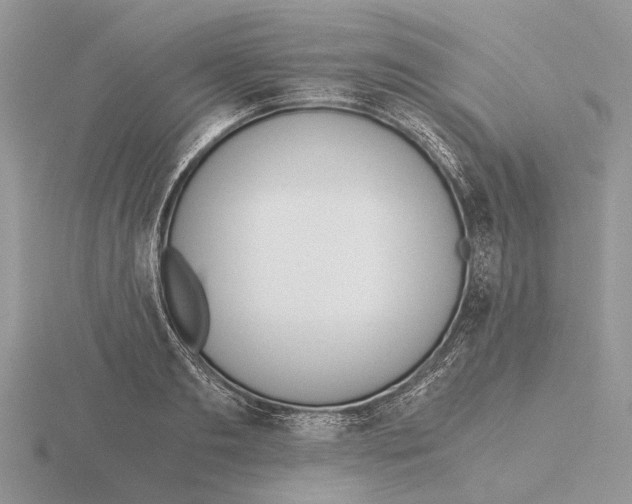 X0000115660893200912101049