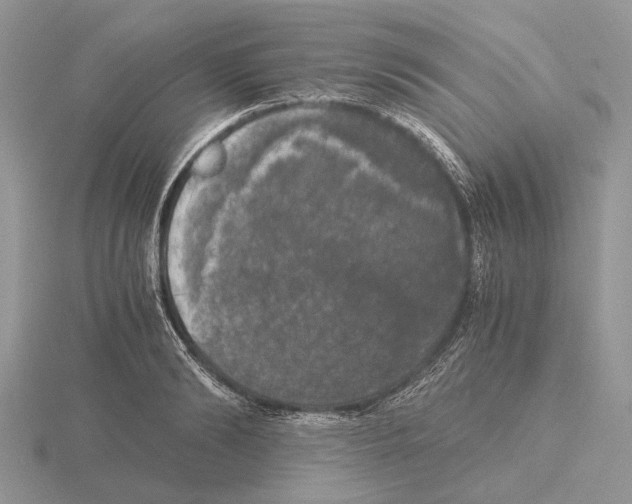 X0000115660894200912101049