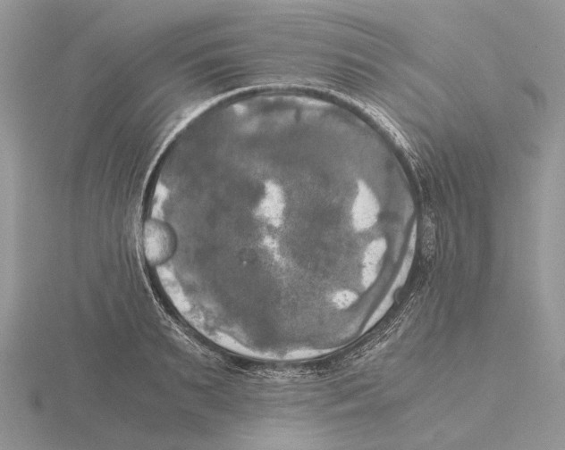 X0000115660895200912101049