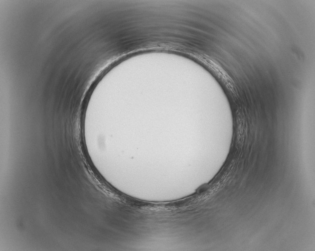 X0000115660896200912101049