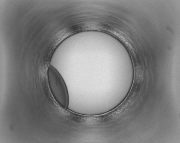 X0000115660897200912101049