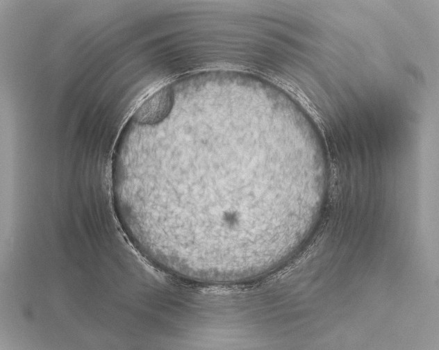 X0000115660898200912101049