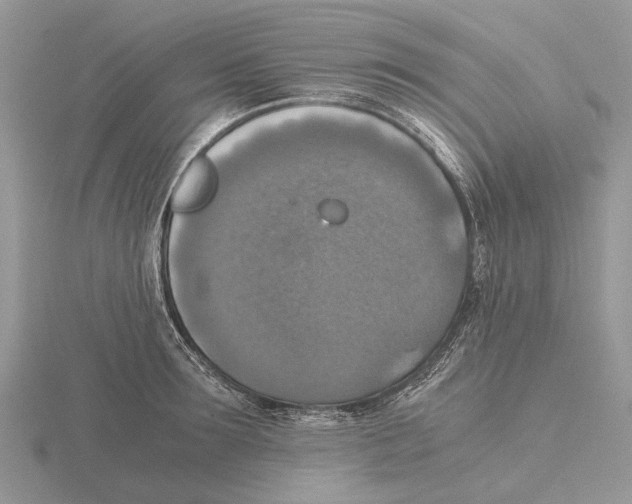 X0000115660899200912101049