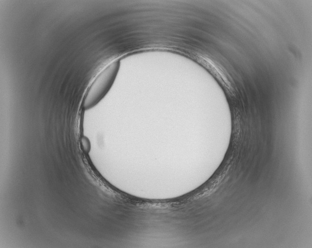 X0000115660900200912101049