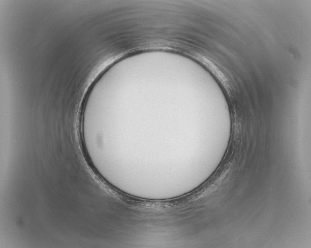 X0000115660901200912101049