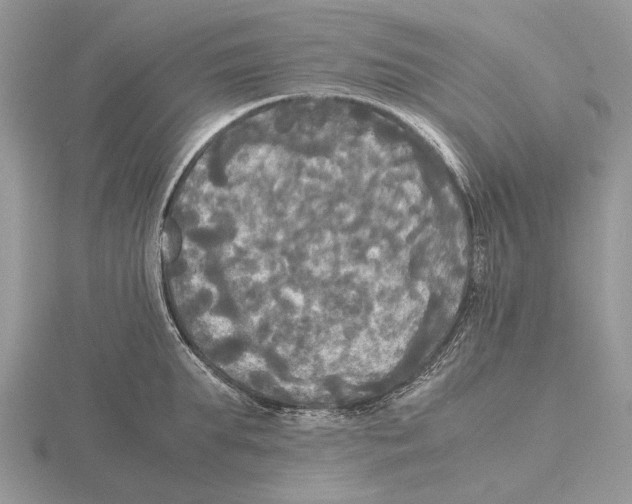 X0000115660903200912101049