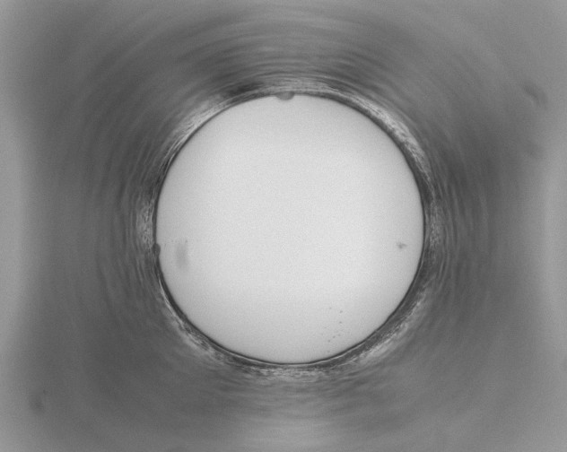 X0000115660905200912101049