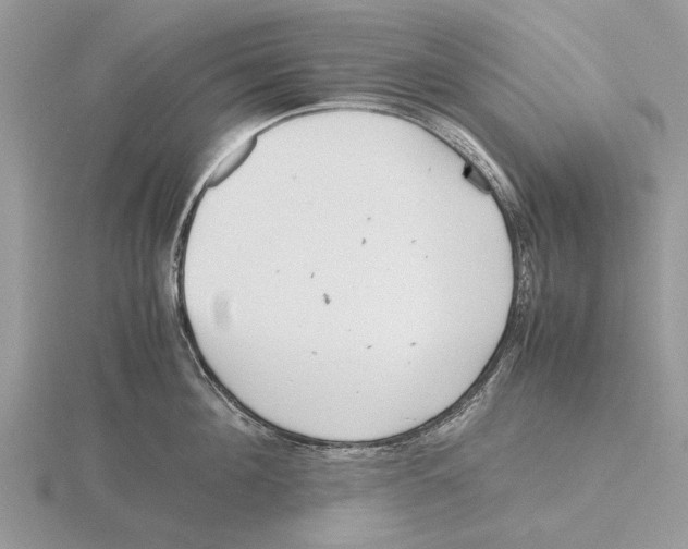 X0000115660908200912101049