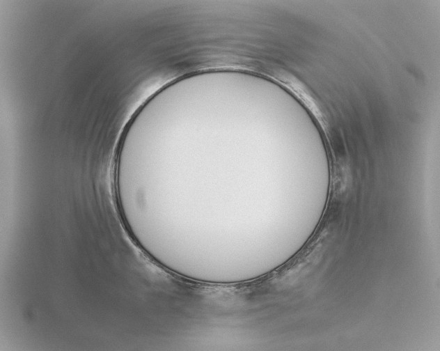 X0000115660909200912101049