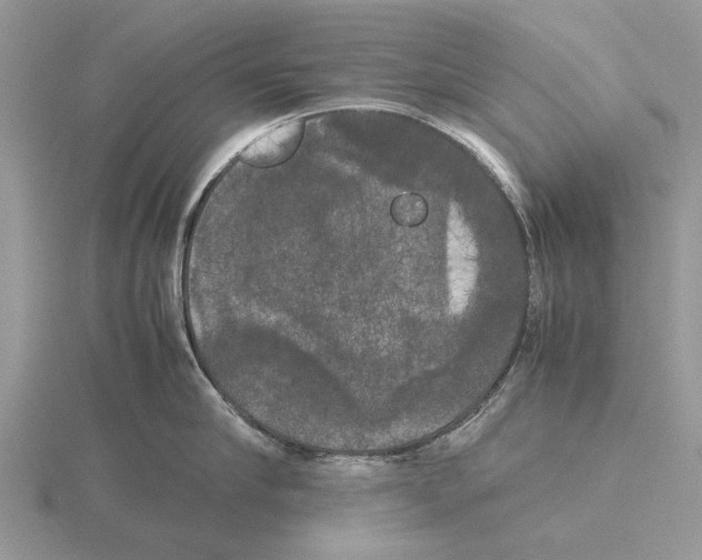 X0000115660910200912101049