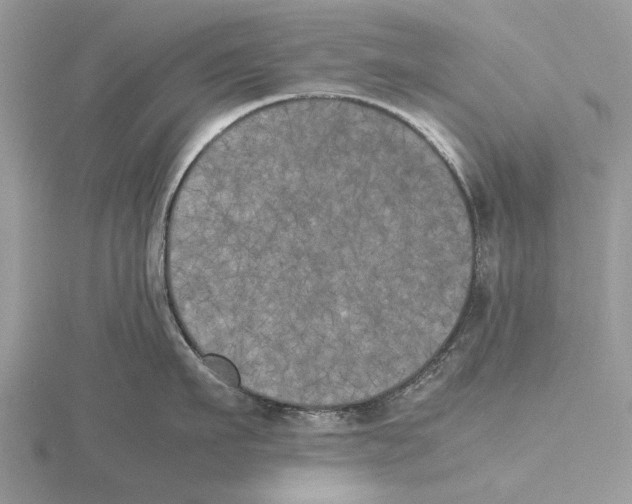 X0000115660911200912101049