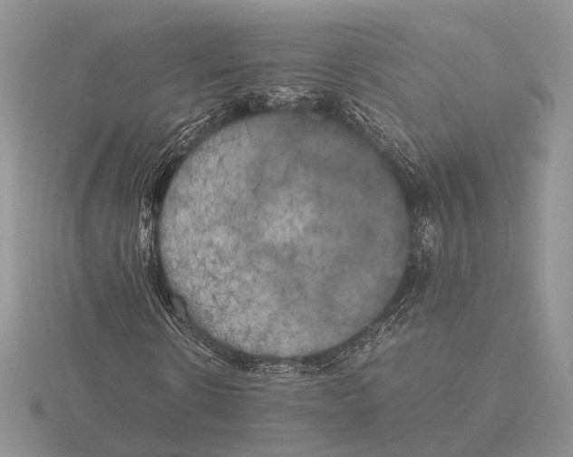 X0000115660914200912101048