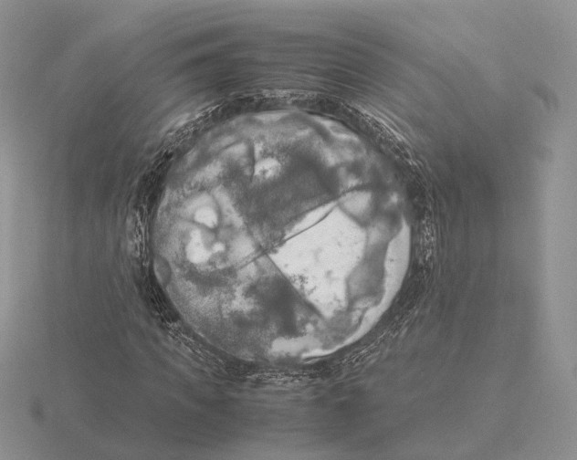 X0000115660917200912101048