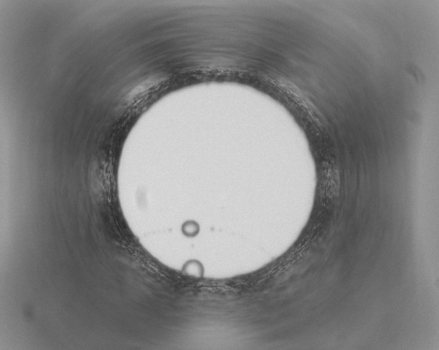 X0000115660918200912101048