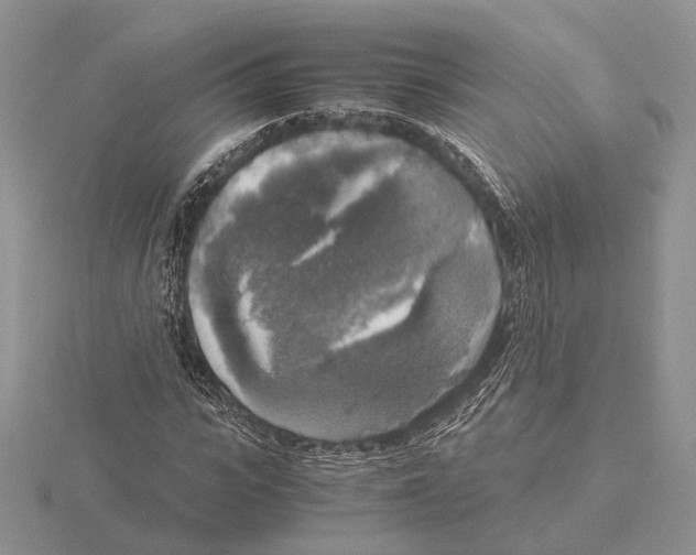 X0000115660919200912101048