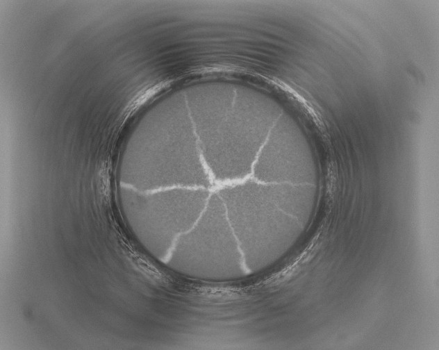 X0000115660921200912101048