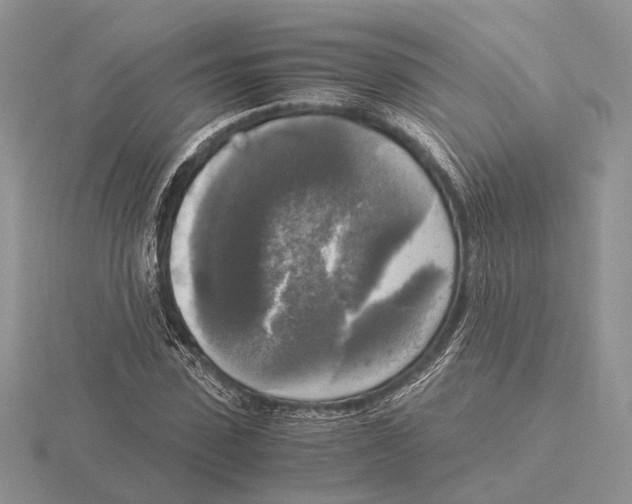 X0000115660923200912101048