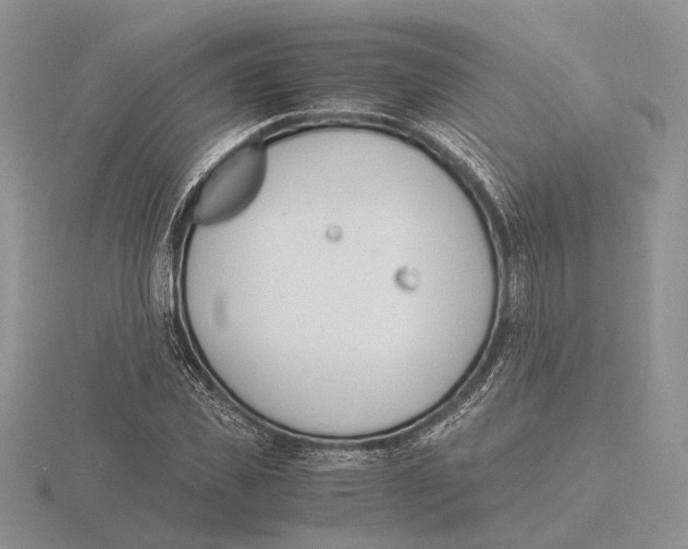 X0000115660925200912101048