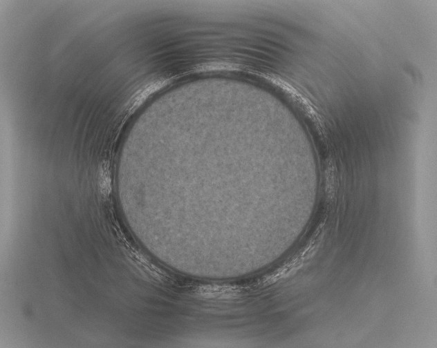 X0000115660929200912101048