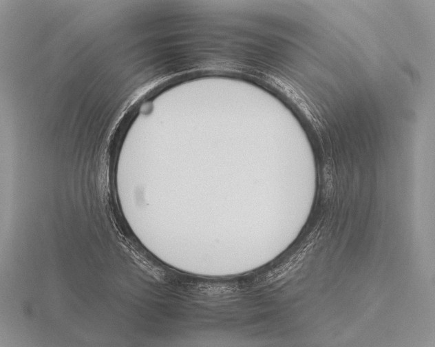 X0000115660931200912101048