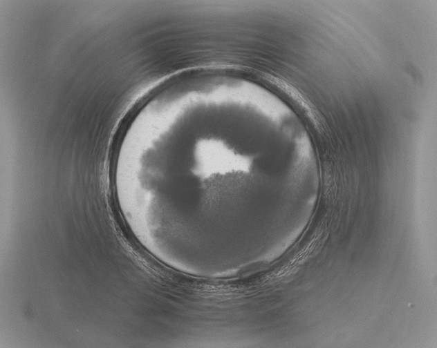 X0000115660935200912101049