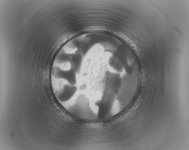 X0000115660937200912101049