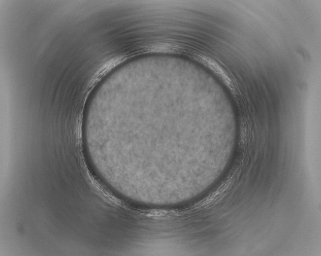 X0000115660938200912101049