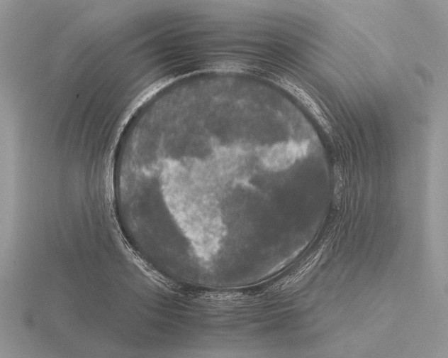 X0000115660939200912101049