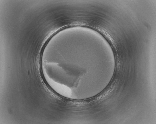 X0000115660941200912101049