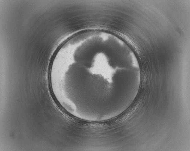 X0000115660943200912101049