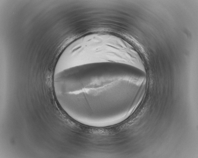 X0000115660945200912101049