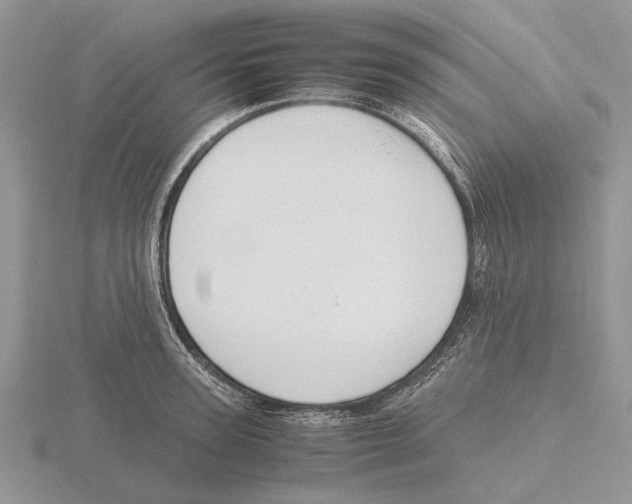 X0000115660947200912101049